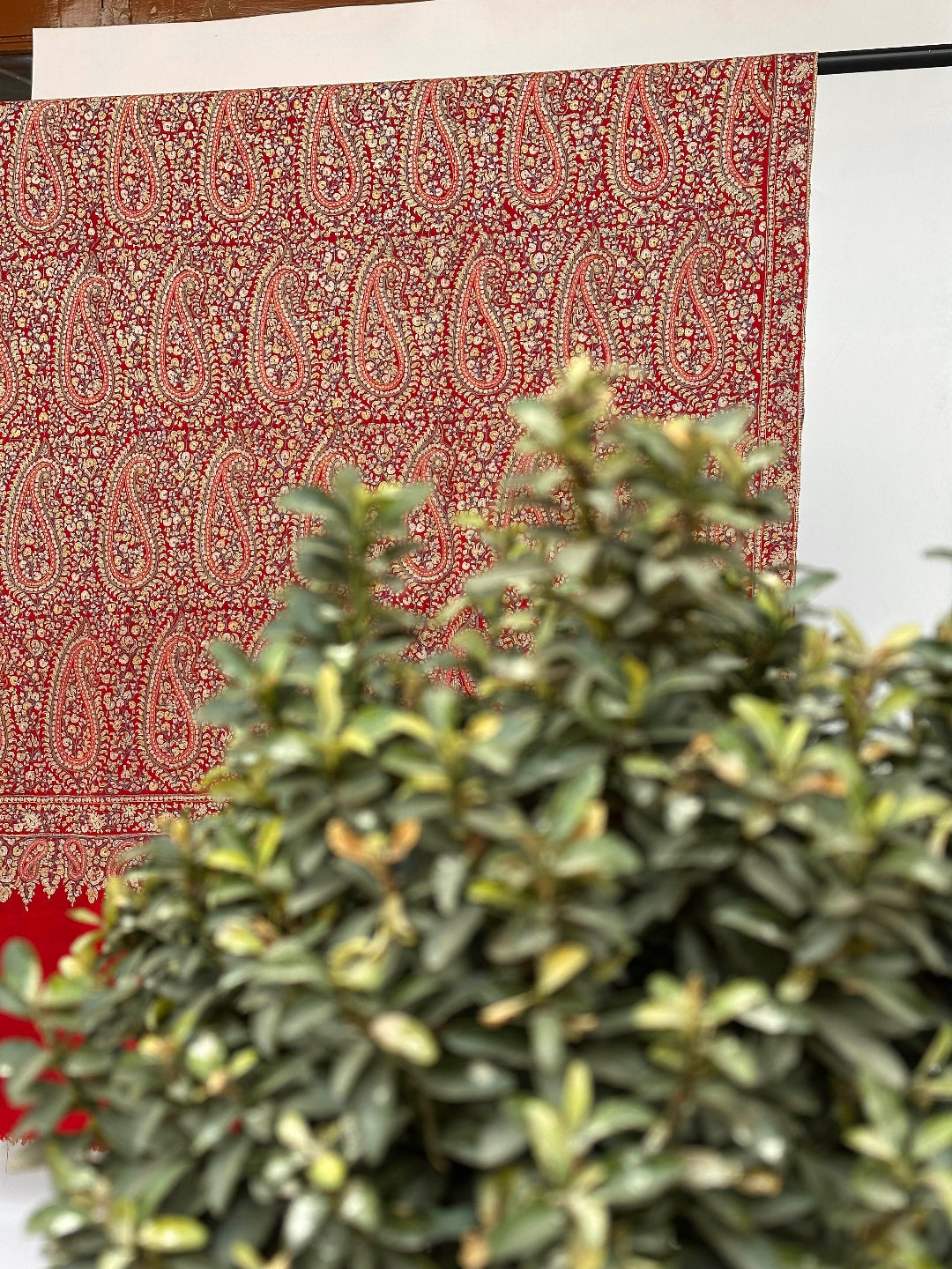 Red Paisley Pashmina Shawl